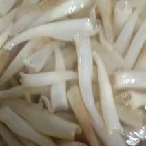 海笋
