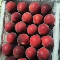 高原红宝石