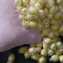 安岳柠檬尤力克柠檬现货大中小一二三级皮薄汁多质量保证
