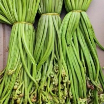 用盐请泡的青蕨菜