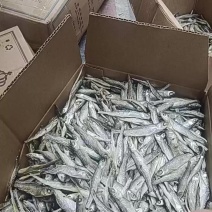 水煮白条，30年老店，天天发货，品质不用多说！