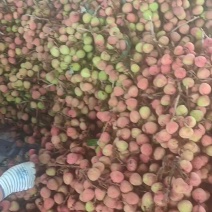 灵山三月红