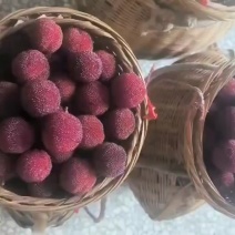 杨梅鲜果