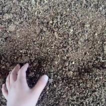 红枣粉高糖份喂牛羊鸡鸭鹅都可以