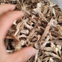 精品鹿茸菇干货菌菇类无硫特价大量现货