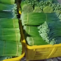 韭菜花