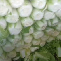 黄心娃娃菜