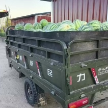 太和麒麟瓜
