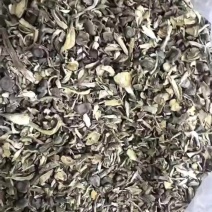 精品鹿茸菇碎片质量好批发价格低