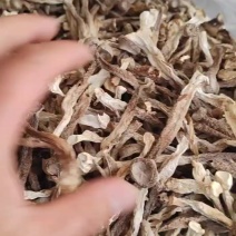 精品鹿茸菇干货批发质量好的很价格美丽量大从优大量现货