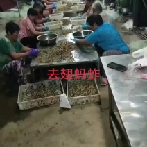 去翅纯母蚂蚱，微商团购。抖音直播，超市直供