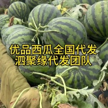 山东精品甜王西瓜，麒麟西瓜大量上市
