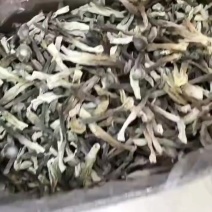 鹿茸菇干货批发质量好价格美丽量大从优大量现货