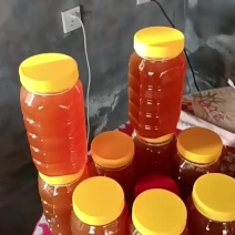 自养天然土蜂蜜