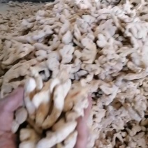 干姜块，，干姜片