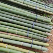 精品香蕉甘蔗竹，各种规格