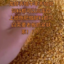 精品四六瓣碎豆瓣