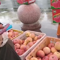 三级红富士苹果