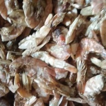 鱼粉