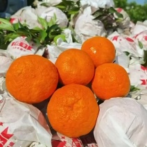 明日见