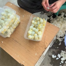 破壳蛋，熟蛋，量大从优
