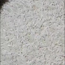 南方长粒线米