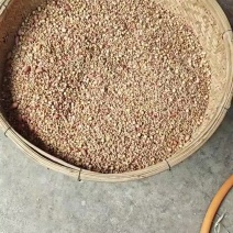 石磨杂粮煎饼
