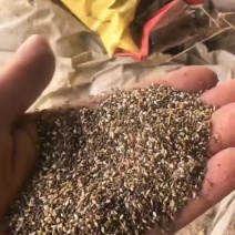 菜籽下脚料
