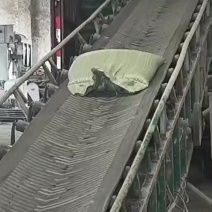 菜籽下脚料装车