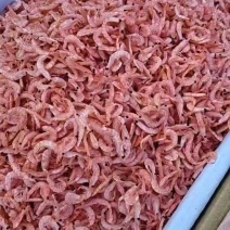 磷虾批发