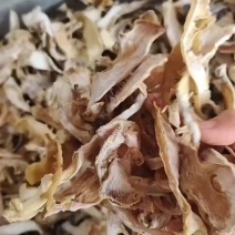 干竹笋