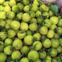 青甜青口蜜小番茄