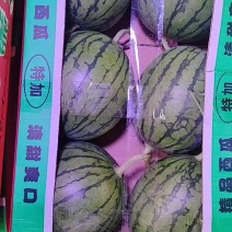 永兴口口脆西瓜