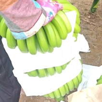香蕉