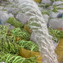 大青豆大量有货品质好价格低，对接全国各大批发市场