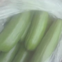 菜瓜哏瓜