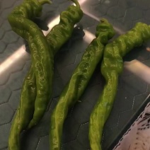 螺丝