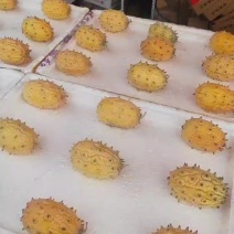 网红火参果刺角瓜奇亚诺果