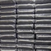 紫菜
