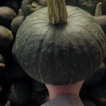 绿南瓜，银栗南瓜