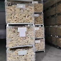 全品类鲜食玉米，产地直发，真空独立包装，口感甜糯
