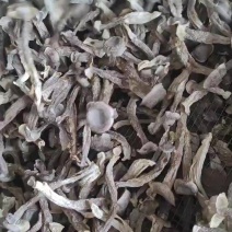 鹿茸干菇厂家批发，质量有保障