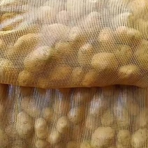 恩施土豆