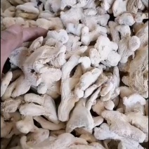 云南罗平产地直销干姜/干姜片，干度足、无硫、成色好，统货、选