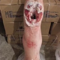 白条羊呼伦贝尔牧场直供精品全草羊代办电商代发线下货运