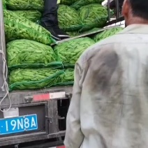 扶余紫花大油豆，量大，价格合理