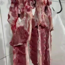 每天鲜剔纯干大满肉羊蝎子