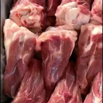 新鲜国产满肉猪肘骨