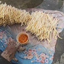大量出售藕尖