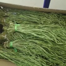 贡菜
